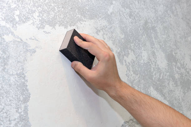 Best Residential Mold Inspection & Testing  in Ferndale, WA