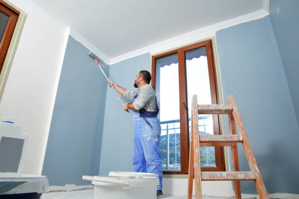 Best Mold Removal for HVAC Installations  in Ferndale, WA