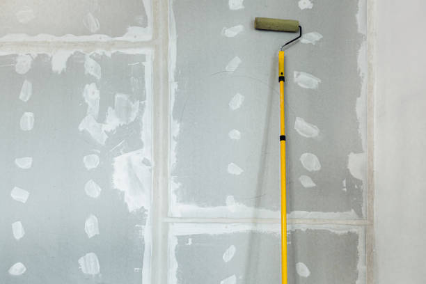 Best Commercial Mold Inspection  in Ferndale, WA
