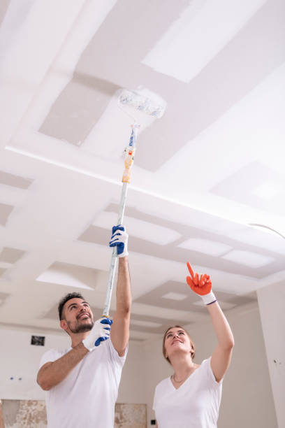 Best Residential Mold Inspection & Testing  in Ferndale, WA