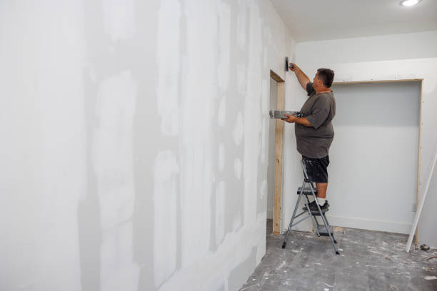 Best Post-Construction Mold Inspection  in Ferndale, WA