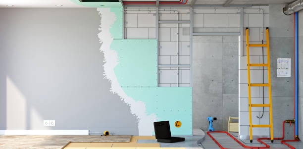Best Black Mold Removal  in Ferndale, WA