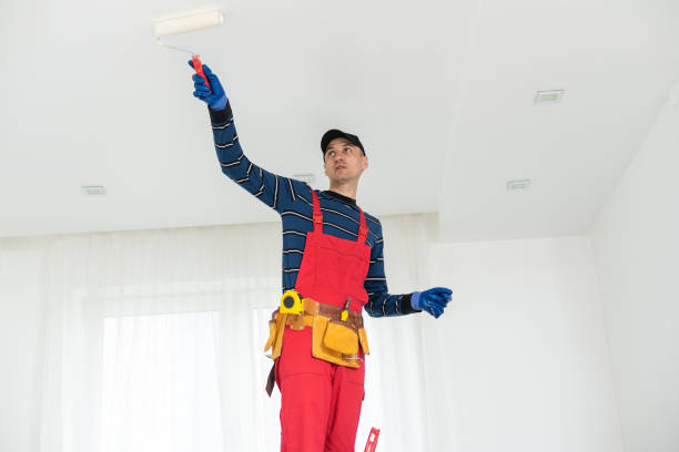 Best Comprehensive Air Testing for Mold Contaminants  in Ferndale, WA