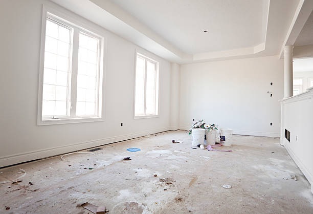 Best Mold Odor Removal Services  in Ferndale, WA
