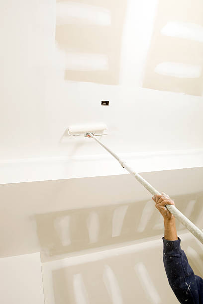 Best Mold Documentation for Insurance Claims  in Ferndale, WA