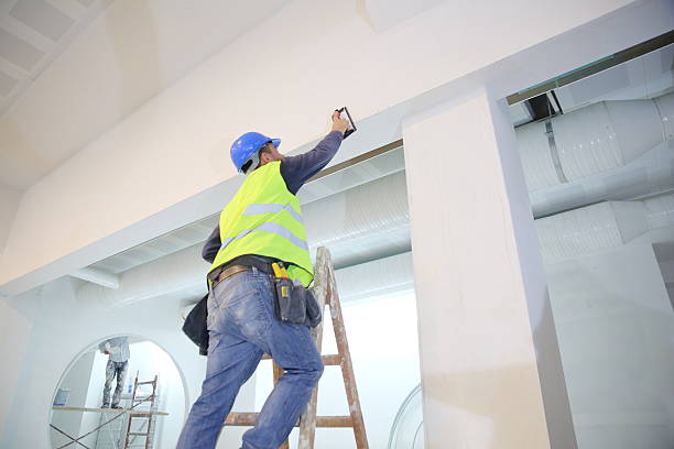 Best Environmental Consulting for Mold Prevention  in Ferndale, WA