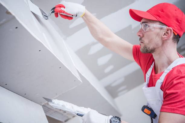 Best Crawl Space Mold Remediation  in Ferndale, WA